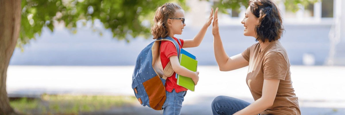 Intellectual Disability Support